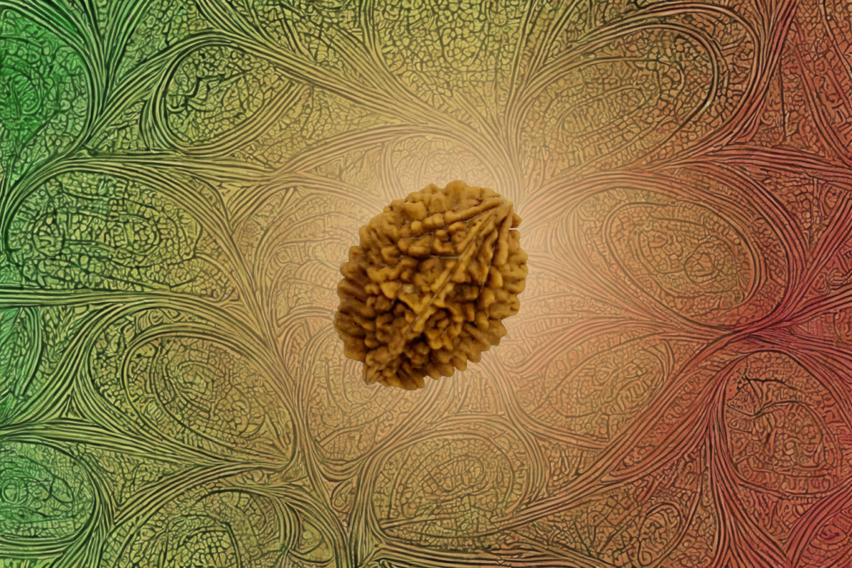 rudraksha 1